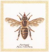 Honey Bee