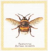 Bumble Bee