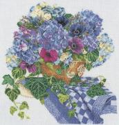 Hydrangea-Anemone