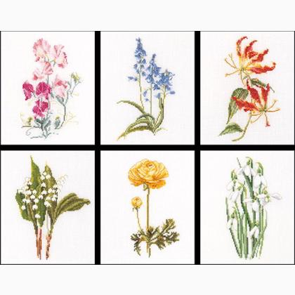 Six Floral Studies II - Aida