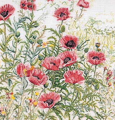 Pink Poppies - Aida