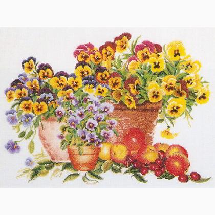 Pansies - Aida