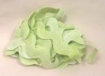 Apple Green Rick Rack 1" (3yds)