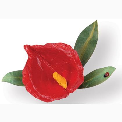 Sizzix Thinlits Die Set 5PK - Fleur, Anthurium