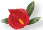 Sizzix Thinlits Die Set 5PK - Fleur, Anthurium