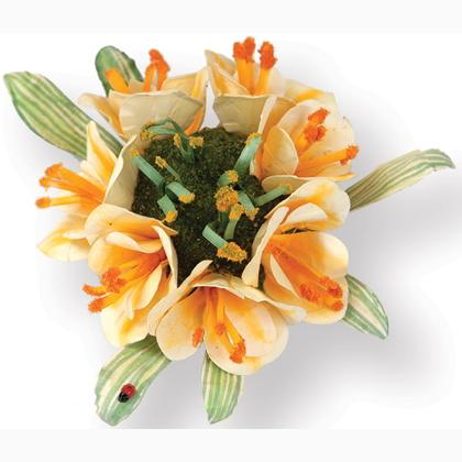 Sizzix Thinlits Die Set 5PK - Fleur, Clivia