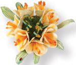 Sizzix Thinlits Die Set 5PK - Fleur, Clivia