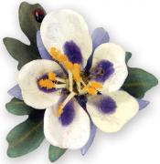 Sizzix Thinlits Die Set 9PK - Fleur, Columbine