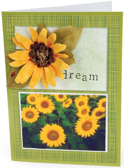 Sizzix Thinlits Die - Quadrillage 5,93 cm