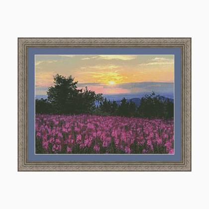 Fireweed Fields
