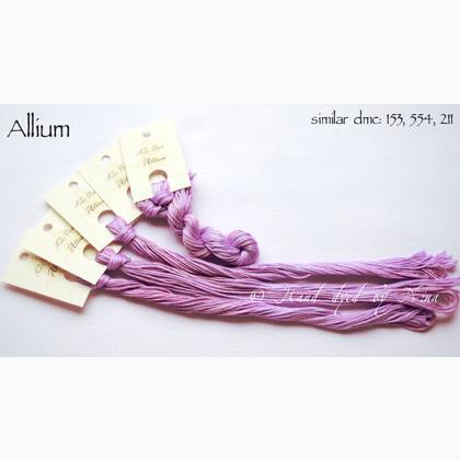 Allium