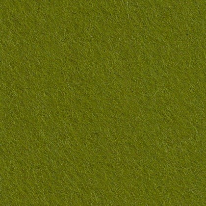 Feutrine Lichen