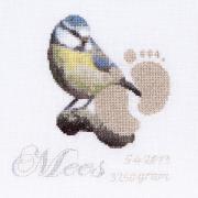 Birth Sampler Mees (Aida)