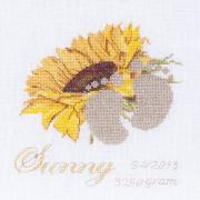 Birth Sampler Sunny