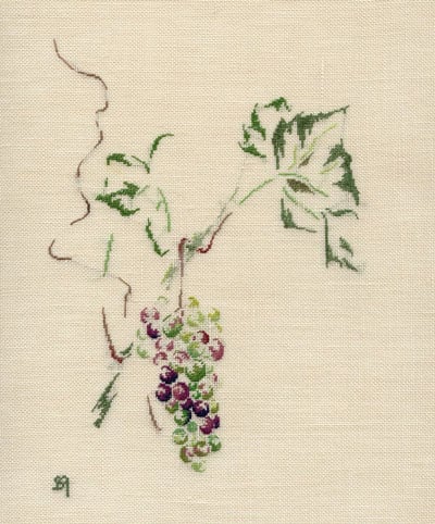 Raisin \"Vitis Brandt\"