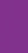 Carton B6 - Double Violet