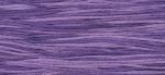 WDW 2020 Amethyst