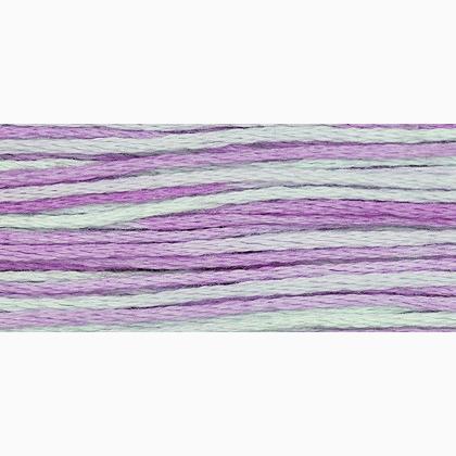 WDW 2306 Blue Aster