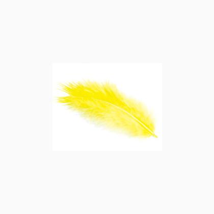 Plumes - Jaune