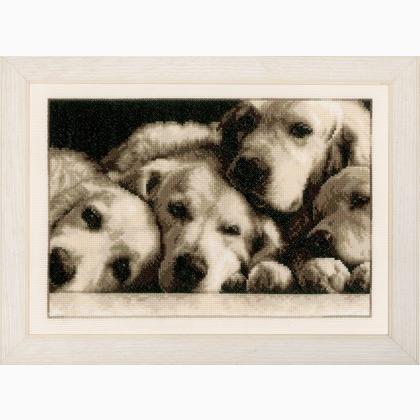 Quatre Golden Retriever fatigués