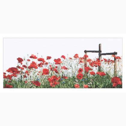 Poppies - Aida