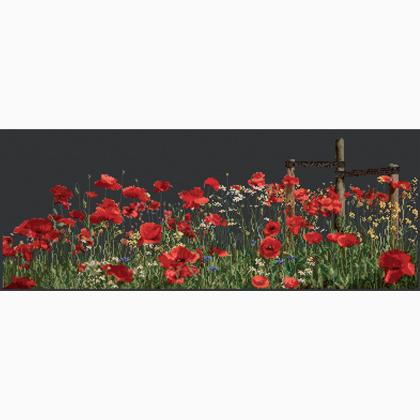 Poppies - Noir