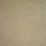 American Chesnut 36ct.