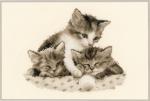 Chatons