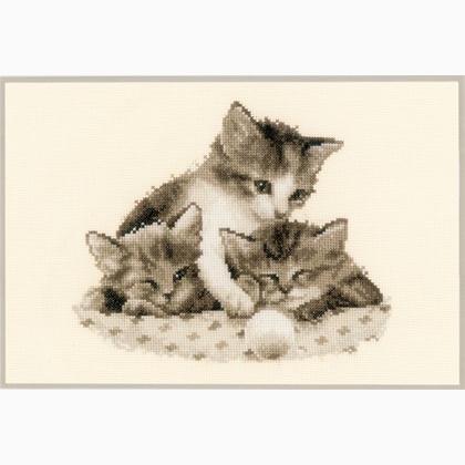 Chatons