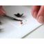 Feuilles double-face pour perforateur
