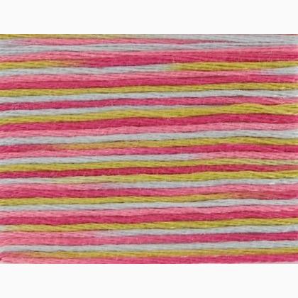 DMC Coloris - Camélia 4502