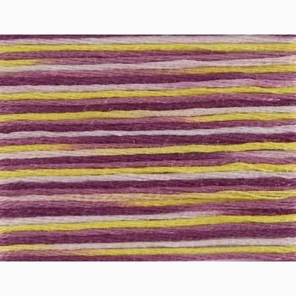 DMC Coloris - Glycine 4503