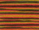 DMC Coloris - Été indien 4511