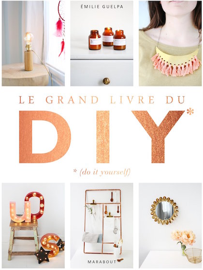 Le grand livre des DIY* *(Do it yourself)