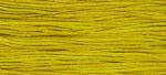 WDW 2208 Lichen