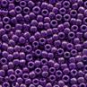 02101 Purple