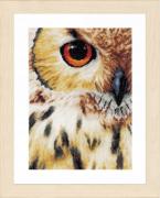 Hibou
