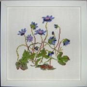 Blue Flowers