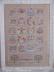 Shabby Summer Calendar