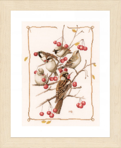 Sparrows and Currant
