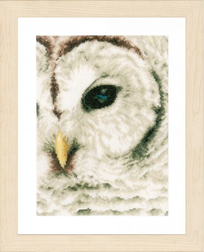 Hibou Blanc