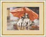 In the rain