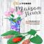 Maison Fleurs