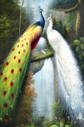 Peacocks