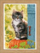 Chat et Potiron