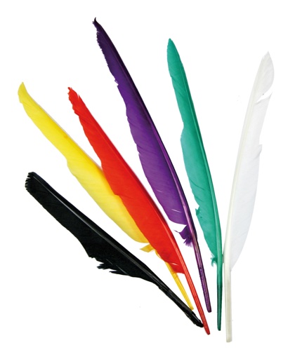 Plumes couleurs assorties - 25 cm