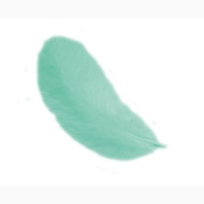 Plumes 12 cm: Vert