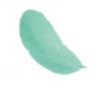 Plumes 12 cm: Vert