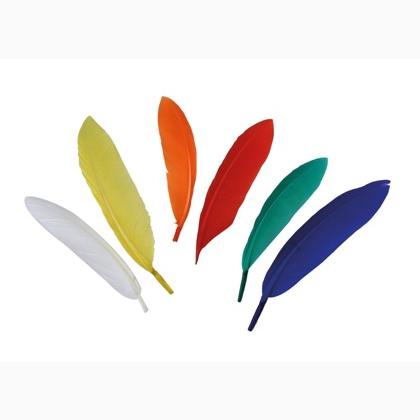 Plumes couleurs assorties