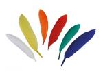 Plumes couleurs assorties